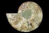 Agatized Ammonite Fossil (Half) - Madagascar #139675-1